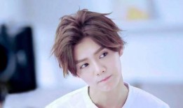 吃瓜娱乐圈鹿晗图片高清,娱乐圈瓜田里的清新风景